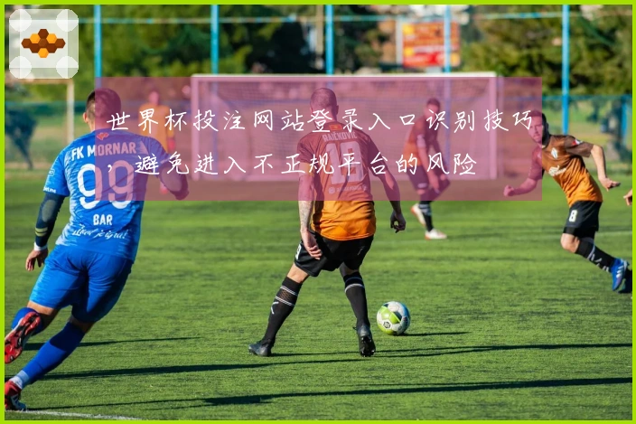 世界杯投注网站登录入口识别技巧，避免进入不正规平台的风险
