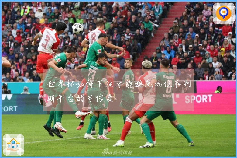 世界杯如何下注才能避免坑位和判断平台的可信度