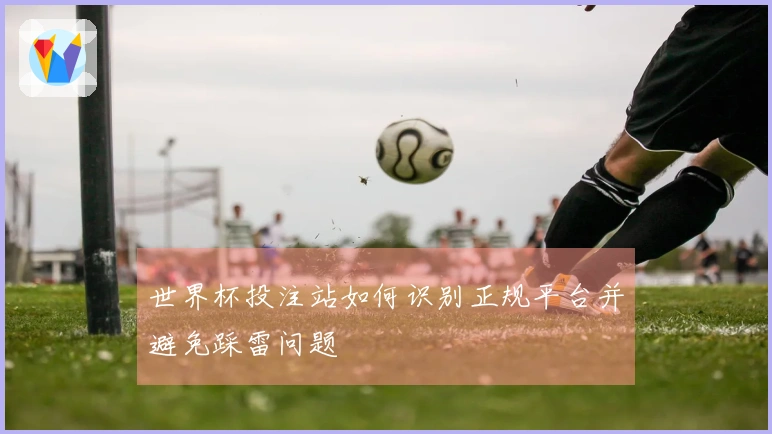 世界杯投注站如何识别正规平台并避免踩雷问题