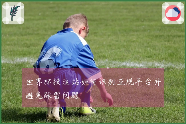 世界杯投注站如何识别正规平台并避免踩雷问题